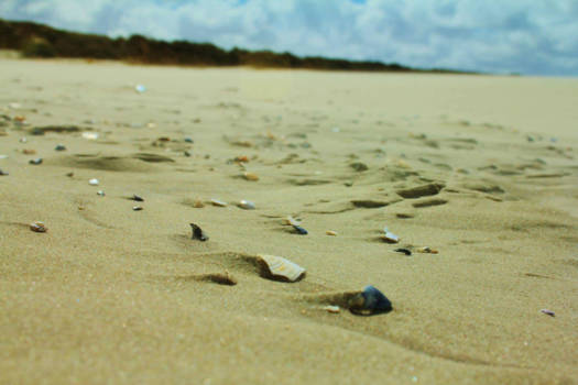 Nepal - Skiermonseag