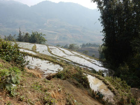 Vietnam - Sapa