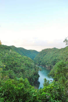 Bohol - Green views