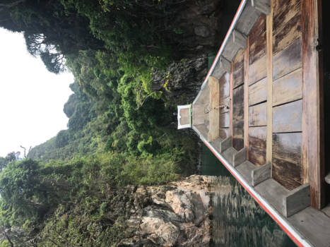 Thailand - Begin van de jungle