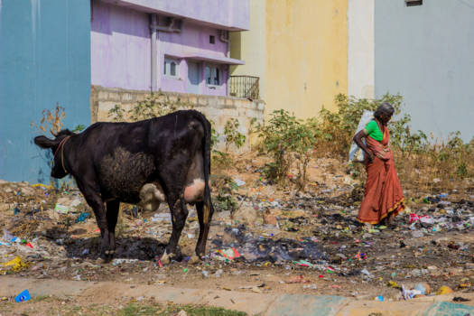 India - Garbage