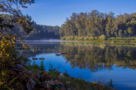 India - Ooty lake