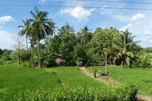 Sri Lanka - Enthousiaste begroeting