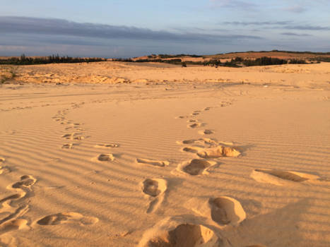 Vietnam - Zonsopgang in Mui Ne
