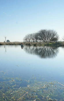 China - Watermonster