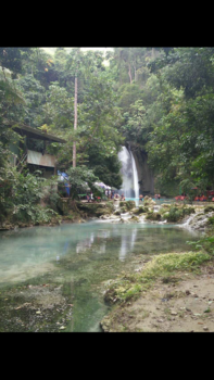 Filipijnen - Wandeling door de jungle