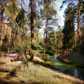 Dubai - The beauty of Holland