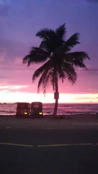 Sri Lanka - Accidentily tipical