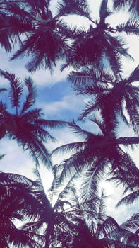 Filipijnen - Love on top