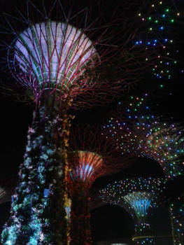 Singapore - Gardens at the Bay