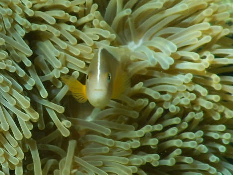 Thailand - In een andere wereld