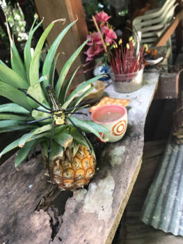 Koh Samui - Ananas shake