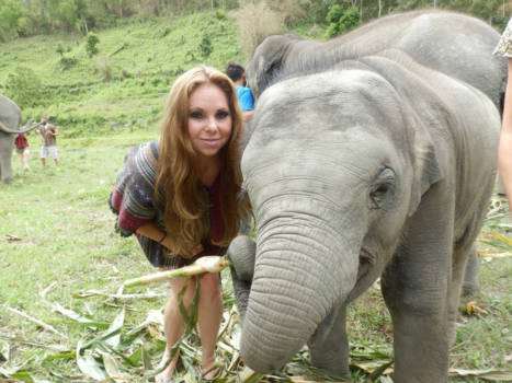 Chiang Mai - Elephant-friend