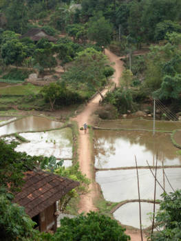 Hiken bij Sapa - Prachtige trekkingtochten bij SaPa, Vietnam