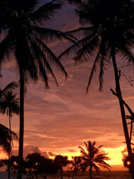 Sri Lanka - Zonsondergang in bentota