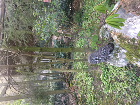 Zuid-Korea - Wijsheid