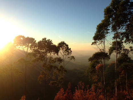 Sri Lanka - Awesome sunrise