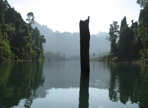 Khao Sok National Park - Peaceful lake