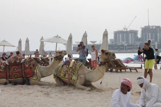 Dubai - Camel ride on the beach