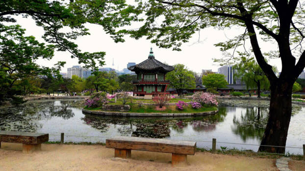 Zuid-Korea - Natuur in de stad! Een oase van rust in metropool Seoul.