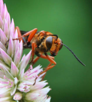 Thailand - Kijk mij nou