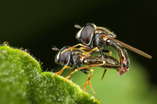 Turkije - Love can be found everywhere in the world