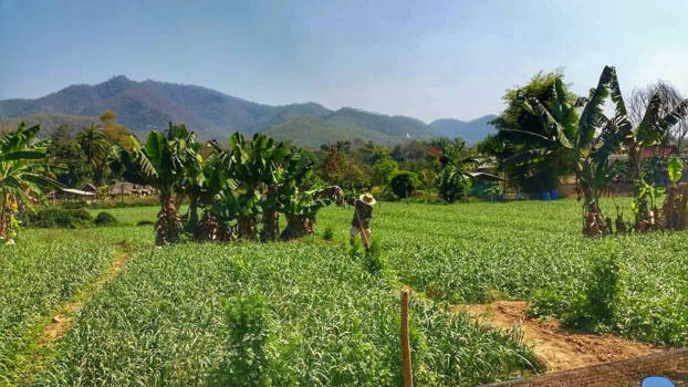 Pai - Tijdens een wandeling naar Pai centrum