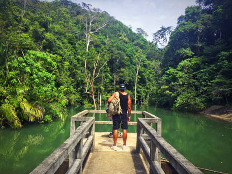 Thailand - In to the wild