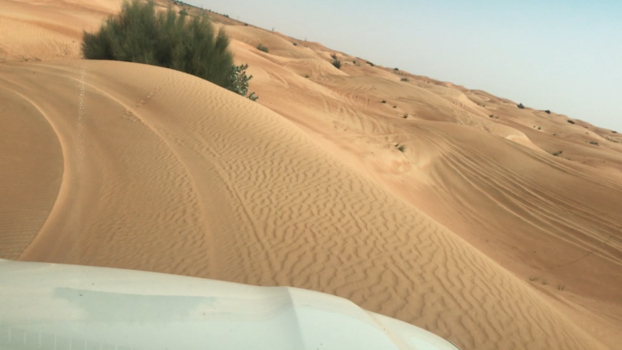 Dubai - Pink Rock desert safari
