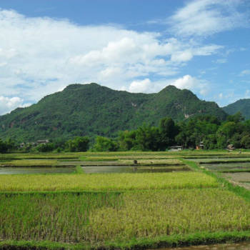 Vietnam - De prachtige natuur van Mai Chau