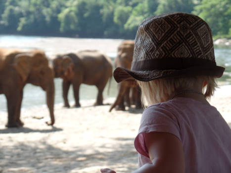 Thailand - Van muggen tot olifanten!