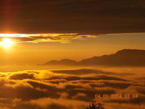 Nuwara Eliya - Magische morgenzon