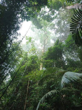 Khao Sok National Park - The art of nature into the sky is enjoyable!