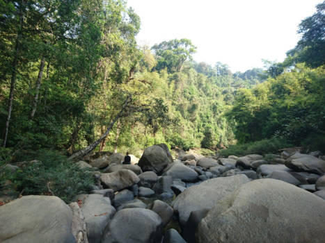 Khao Sok National Park - Ultiem genieten van de natuur