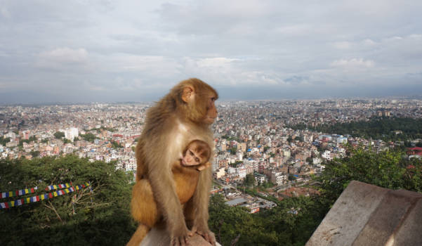 Kathmandu - Uitzicht over Kathmandu