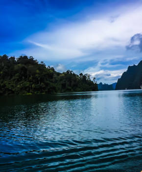 Khao Sok National Park - Groene omgeving