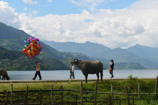 Pokhara - Phewa lake