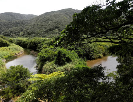 Japan - Amami-Ōshima: een onontdekte Japanse parel!