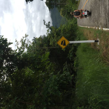 Thailand - Scooter huren