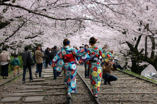 Kyoto - Verwelkom de lente in stijl