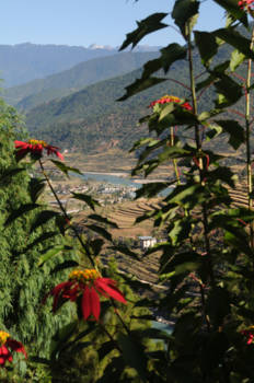 Bhutan - Geweldig mooie natuur