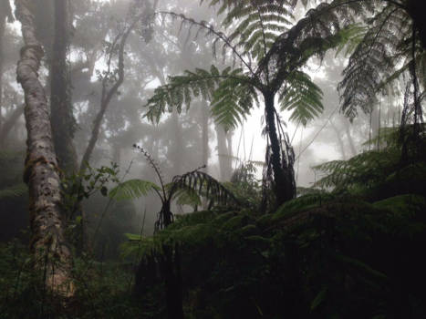 Maleisië - mount Kinabalu