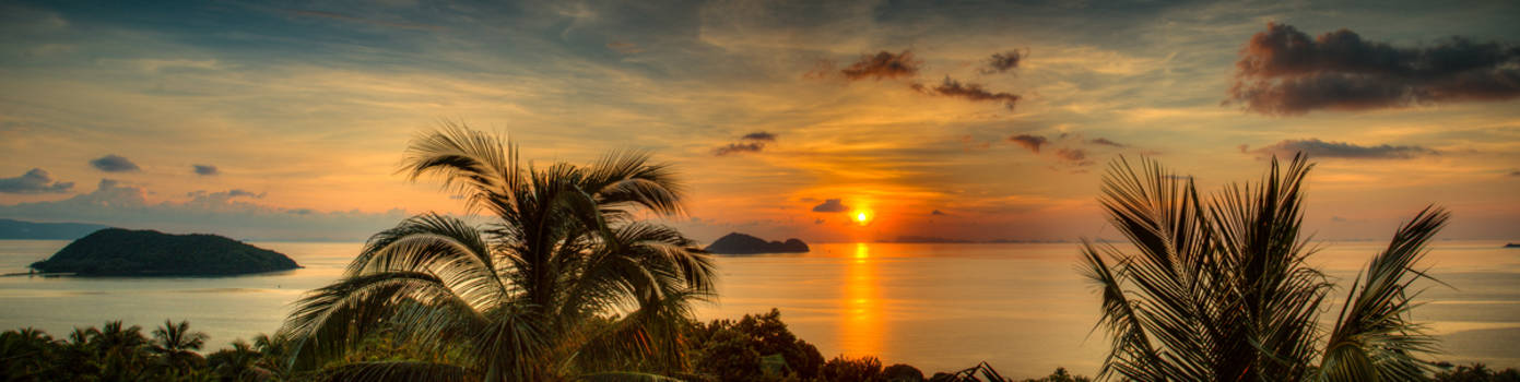 Thailand - Sunset Behind The Palm Trees
