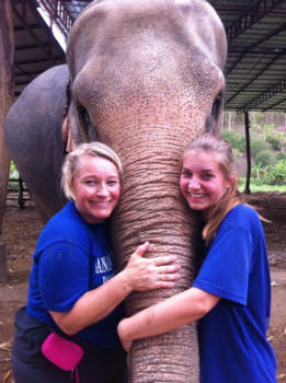 Chiang Mai - Knuffelen in een resort voor opgevangen olifanten