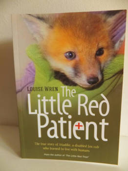 Tel Aviv en Jaffa - Maddie de Engelse vos...