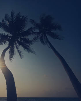 Malediven - Everyday