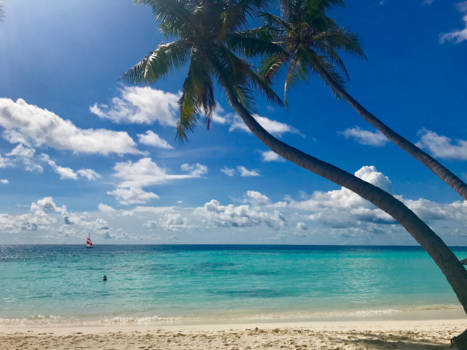 Malediven - Maafushi eiland