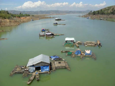 Vietnam - Passing by these beauties on the motor from Nha Trang to Dalat.