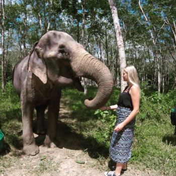 Phuket - Olifantenopvang in Phuket