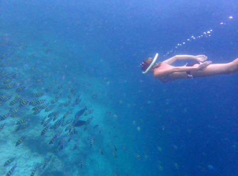 Malediven - zeemeermin